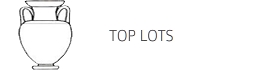 TOP LOTS